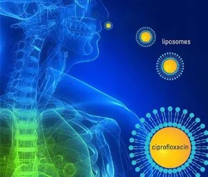 The coronavirus displayed within the human body