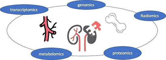Diagram displaying various cell types found in the human body