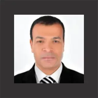 Hassan Mostafa Mohammed