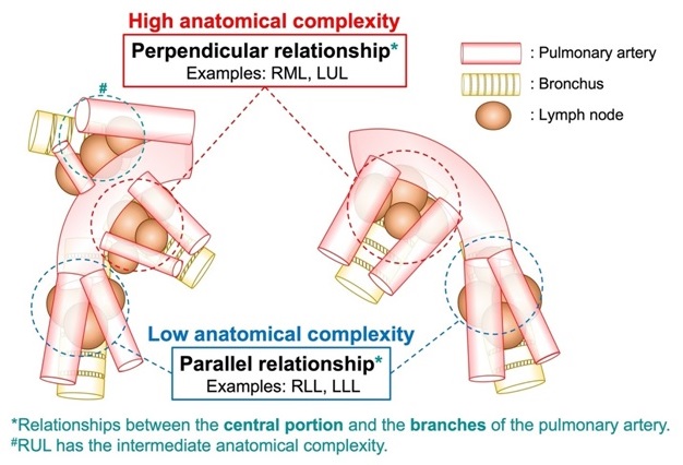 a diagram of how a pair of implants works