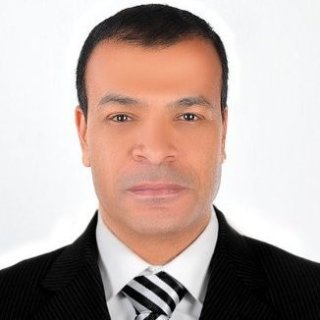 Hassan Mostafa Mohammed