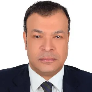 Hassan Mostafa Mohammed